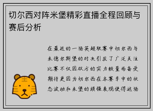 切尔西对阵米堡精彩直播全程回顾与赛后分析