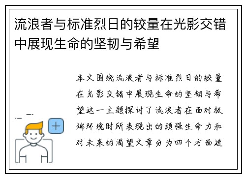 流浪者与标准烈日的较量在光影交错中展现生命的坚韧与希望
