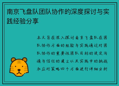 南京飞盘队团队协作的深度探讨与实践经验分享