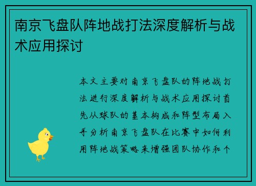 南京飞盘队阵地战打法深度解析与战术应用探讨